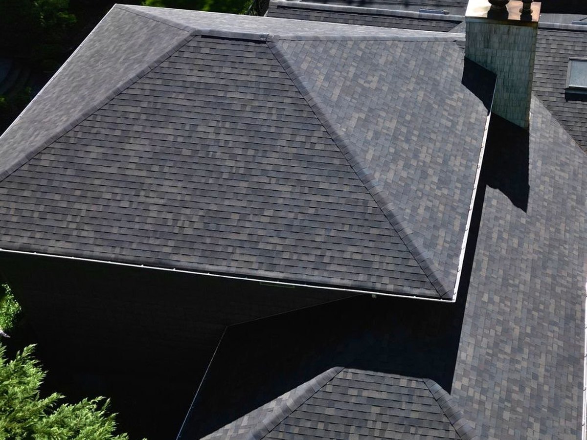 Pine canopy over North Houston rooftops