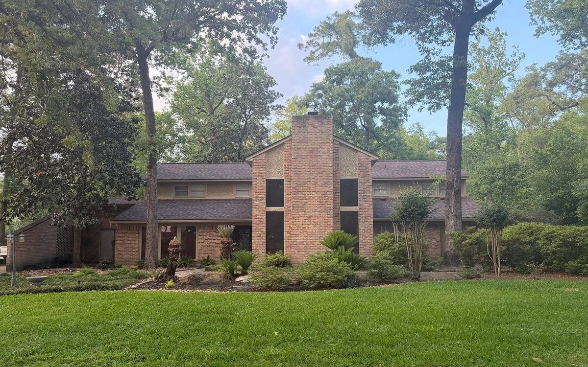Trees and Overhanging Limbs: Protecting Your Roof in Conroe / North Houston