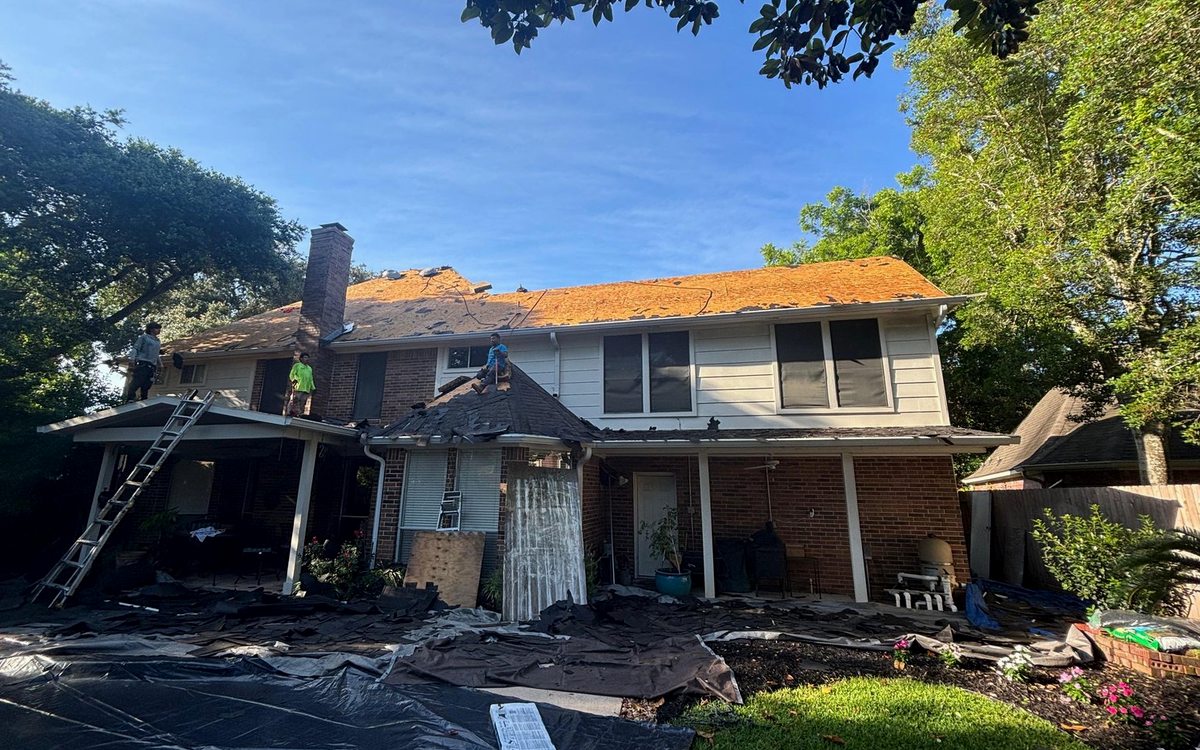 Trees and Overhanging Limbs: Protecting Your Roof in Beaumont