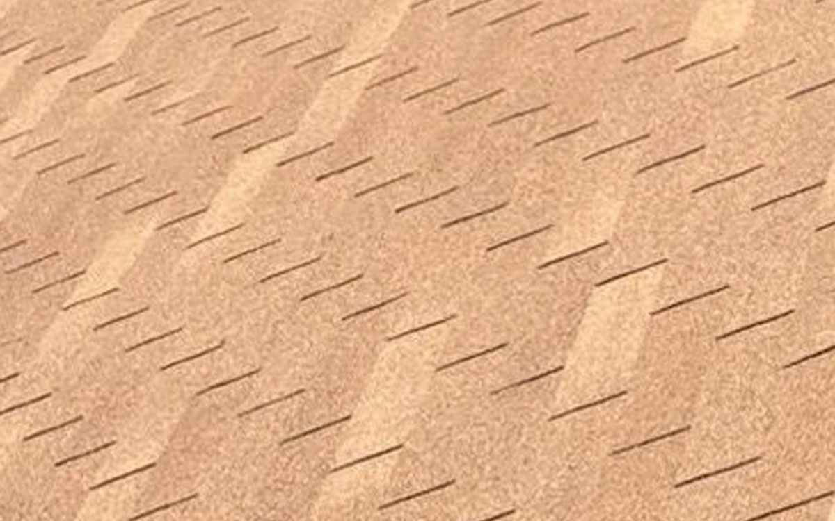 Preventing Roof Algae and Streaking for Good in Salt Lake City