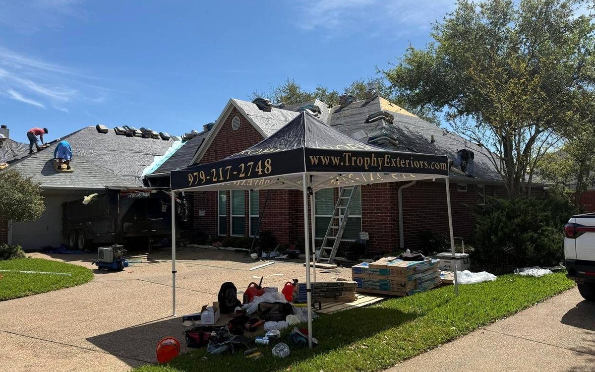 Trees and Overhanging Limbs: Protecting Your Roof in College Station