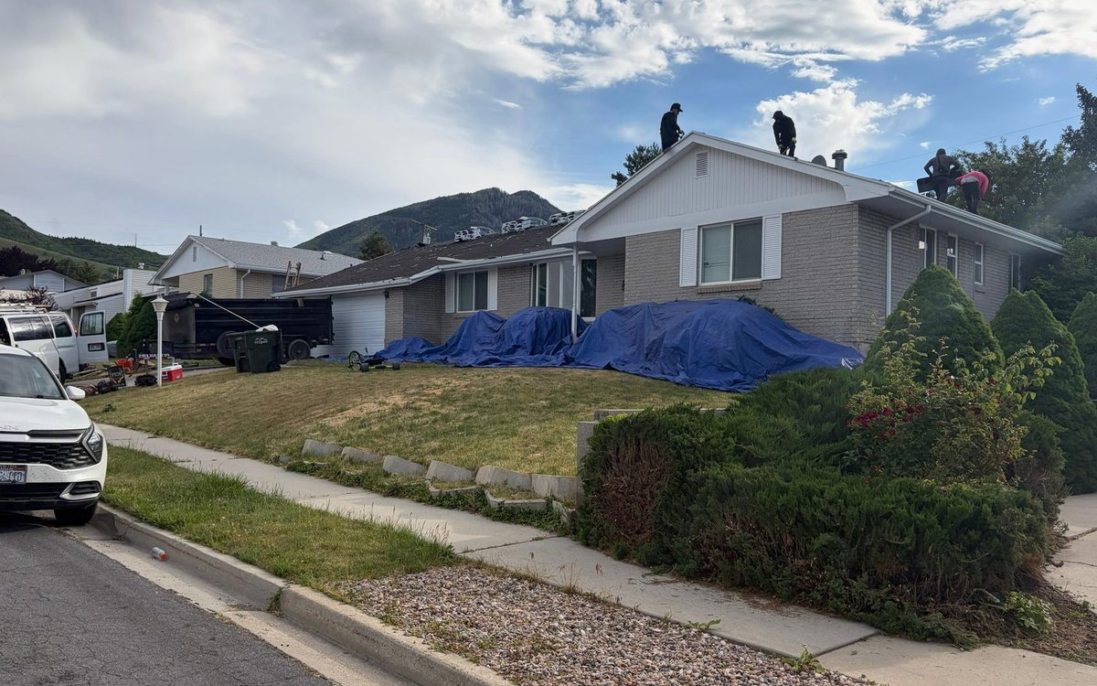 Trees and Overhanging Limbs: Protecting Your Roof in Billings