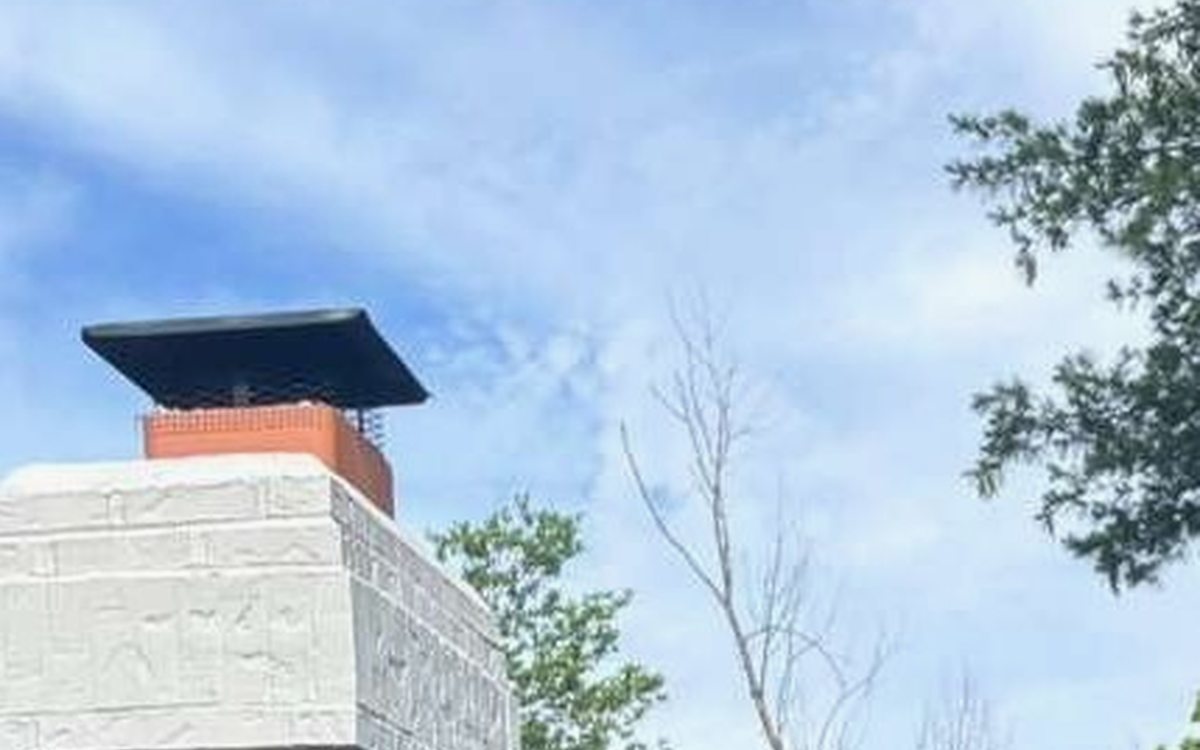 Trees and Overhanging Limbs: Protecting Your Roof in St. Louis